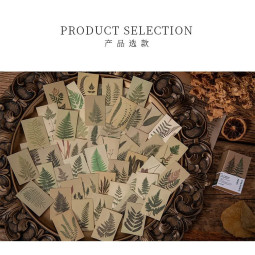 Стикери за декориране Fern...